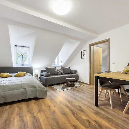 Apartment Katrin 2 Karlovy Vary Dış mekan fotoğraf