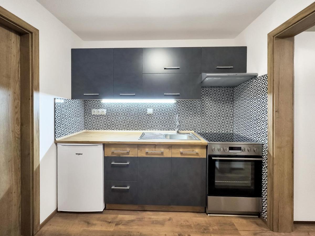 Apartment Katrin 2 Karlovy Vary Dış mekan fotoğraf